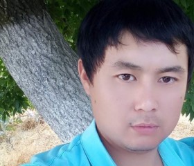 Malik Alymkuliv, 28 лет, Бишкек