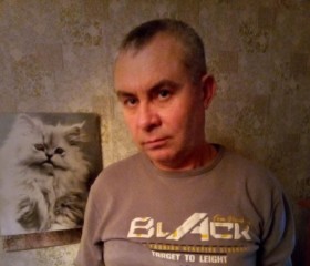 Александр, 55 лет, Железногорск (Курская обл.)