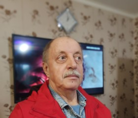 Вячеслав, 74 года, Магнитогорск