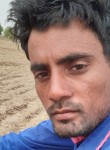 Eubssi, 32 года, Gwalior