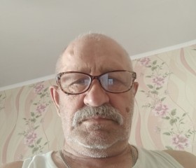 Владимир, 71 год, Воронеж