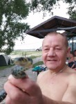 Владимир, 53 года, Ульяновск