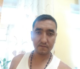 Норматив Шухрат, 38 лет, Kirgili