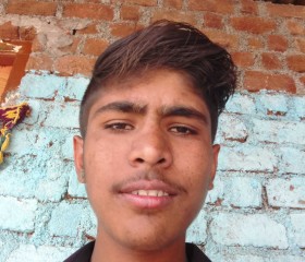 Kamal, 23 года, New Delhi