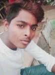 Lokesh kumar, 25 лет, Gangapur City