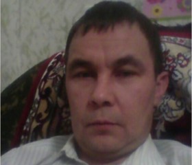 Sergey, 43 года, Ершичи