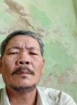 Mình Khánh, 52 года, Pleiku