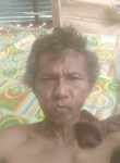 Mugi, 56, Kualatungkal