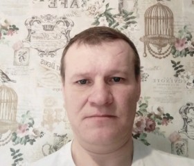 Роман, 42 года, Новосибирск