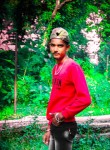 Md Raj, 18 лет, Siddharthanagar