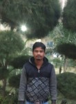 MD, 33 года, Patna