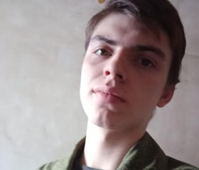 Александр Попов, 22 года, Барнаул