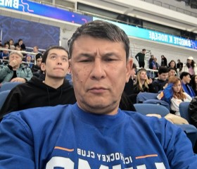 Шелест, 43 года, Toshkent