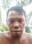 Andre, 36 лет, Kota Palembang