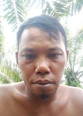 Andre, 36, Indonesia, Kota Palembang