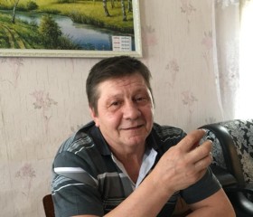 Владимир, 62 года, Майна