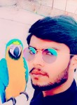 Arshad, 23 года, اسلام آباد