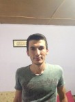 mustafa03, 33 года, Türkmenabat