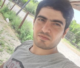 Elvin Nebiyev, 30 лет, Bakı