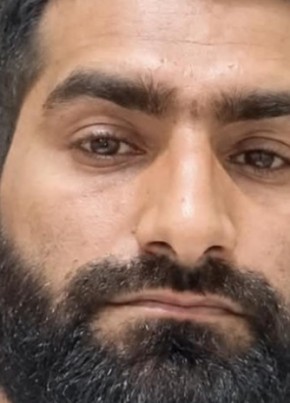 Tiger 🐅🐯 из ضبا 23 года
