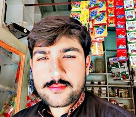 Naseem Khan, 23 года, سیالکوٹ