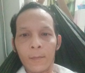 hoang, 43 года, Bến Tre