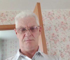 Сергей, 66 лет, Боровичи