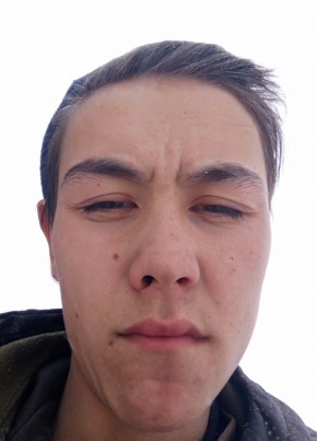 Петр, 21, Россия, Новосибирск
