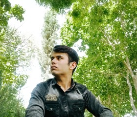 محمد نوید, 20, Isfahan