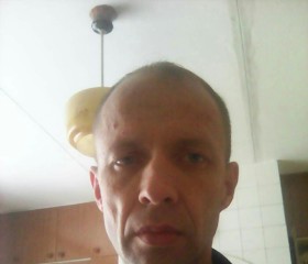 Алексей, 52 года, Нытва
