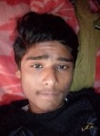 HARSH NIGAM, 19 лет, Lucknow