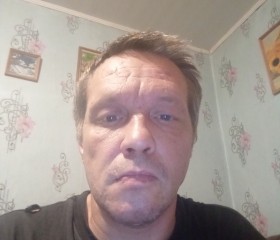 Роман, 44 года, Вологда