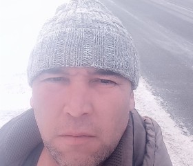 Тимур, 42 года, Нижний Новгород