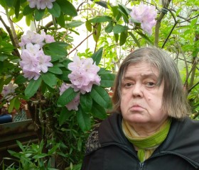 Наталья Виноград, 65 лет, Санкт-Петербург