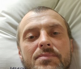 Михаил, 44 года, Краснодар