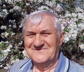Сергей Каплан, 70 лет, Санкт-Петербург