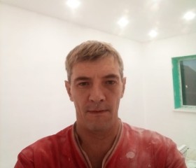 Антон, 44 года, Омск