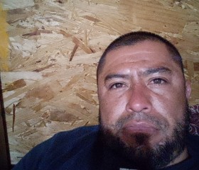 Humberto, 37 лет, Tijuana
