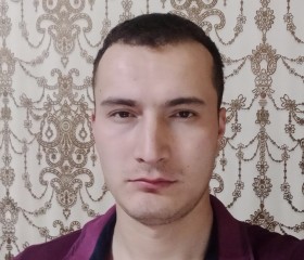 Дамир, 29 лет, Toshkent
