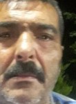Alaaddin, 47 лет, Ankara