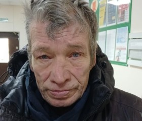 ShL, 29 лет, Кушнарёнково