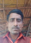 Pramod, 37 лет, Shimla