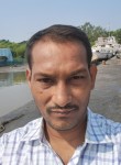 Yusuf Shah, 36 лет, New Delhi