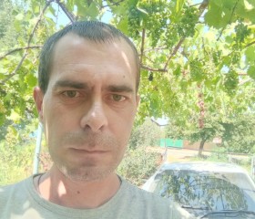 Aleksandr, 38, Bryukhovetskaya