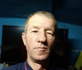Петро Лісовий, 55 лет, Київ