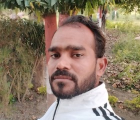 Parvesh Sharma, 34 года, New Delhi