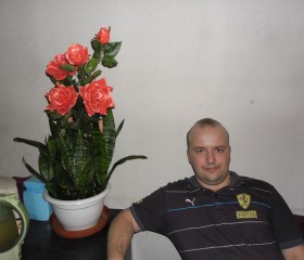 Илья, 42 года, Kohtla-Järve