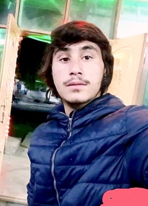 Yasir shamii, 18, پاکستان, كوٹ ادُّو‎