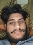 Billi - راولپنڈی