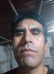 Carlos huanca, 50 лет, Lima